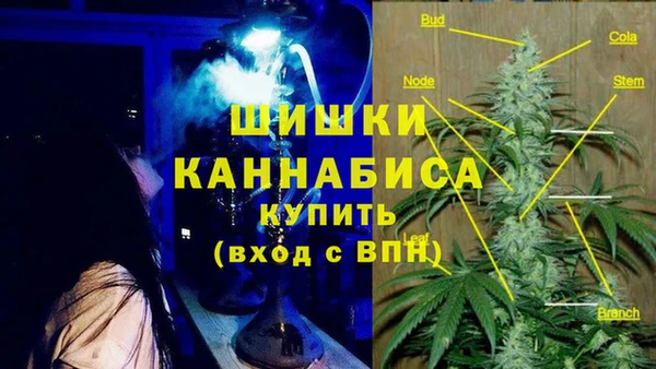 амф Абинск